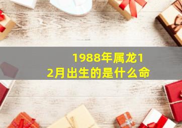 1988年属龙12月出生的是什么命