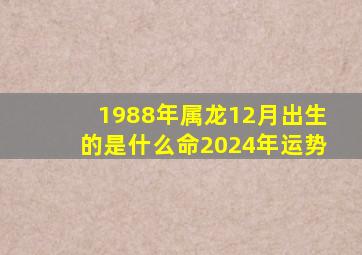 1988年属龙12月出生的是什么命2024年运势