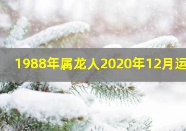 1988年属龙人2020年12月运势