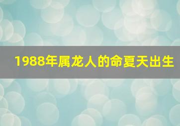 1988年属龙人的命夏天出生