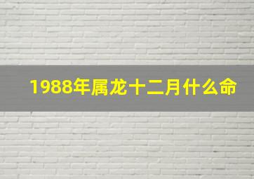 1988年属龙十二月什么命