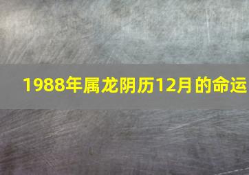 1988年属龙阴历12月的命运