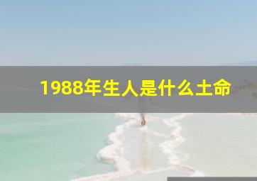 1988年生人是什么土命