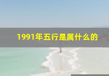 1991年五行是属什么的