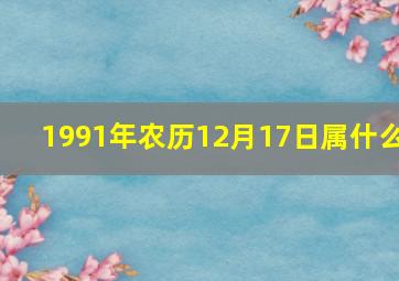 1991年农历12月17日属什么