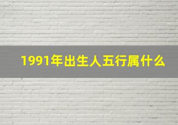 1991年出生人五行属什么