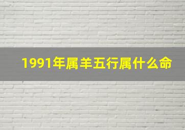 1991年属羊五行属什么命