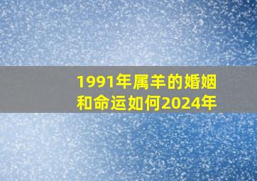 1991年属羊的婚姻和命运如何2024年