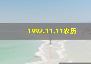 1992.11.11农历