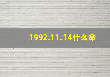 1992.11.14什么命