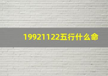 19921122五行什么命