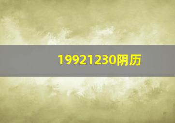 19921230阴历