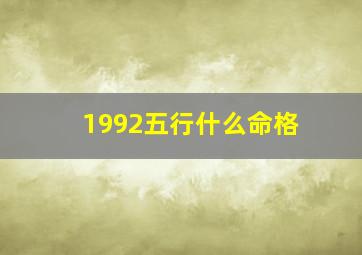 1992五行什么命格