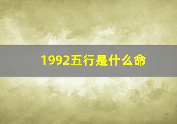 1992五行是什么命