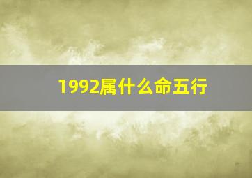 1992属什么命五行