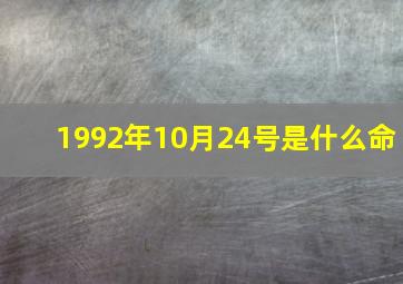 1992年10月24号是什么命