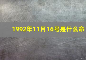 1992年11月16号是什么命