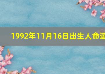 1992年11月16日出生人命运