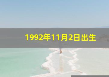 1992年11月2日出生