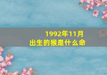 1992年11月出生的猴是什么命