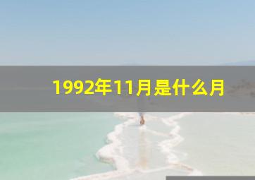 1992年11月是什么月