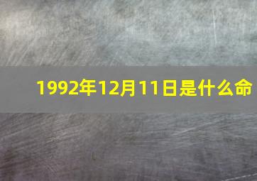 1992年12月11日是什么命