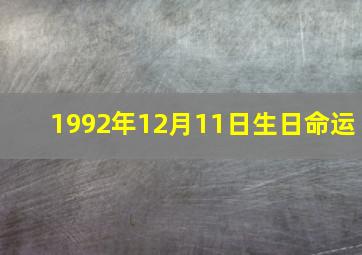 1992年12月11日生日命运