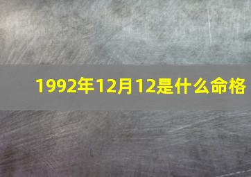 1992年12月12是什么命格