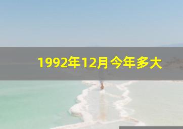 1992年12月今年多大