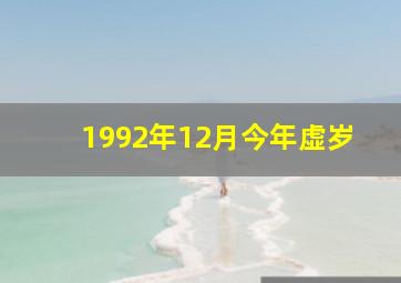 1992年12月今年虚岁