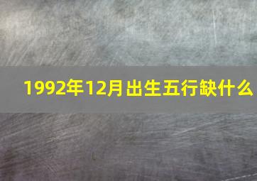 1992年12月出生五行缺什么