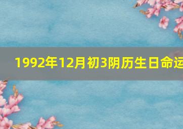 1992年12月初3阴历生日命运