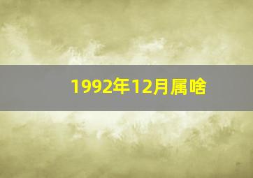 1992年12月属啥