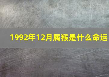 1992年12月属猴是什么命运