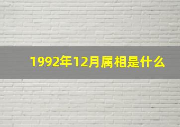 1992年12月属相是什么