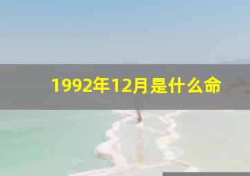 1992年12月是什么命