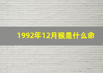 1992年12月猴是什么命