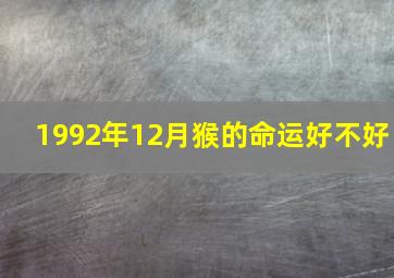 1992年12月猴的命运好不好