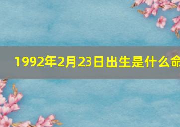 1992年2月23日出生是什么命