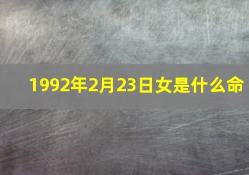 1992年2月23日女是什么命