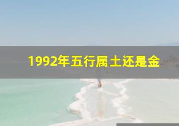 1992年五行属土还是金