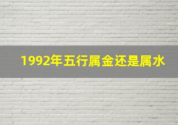 1992年五行属金还是属水