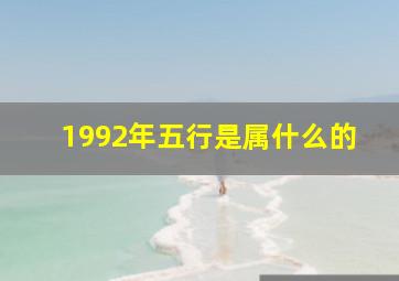 1992年五行是属什么的