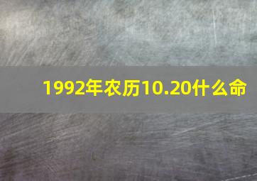 1992年农历10.20什么命