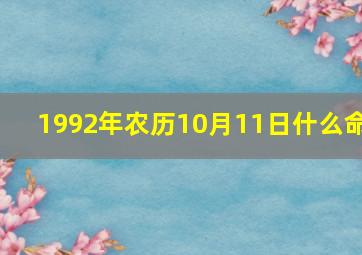 1992年农历10月11日什么命