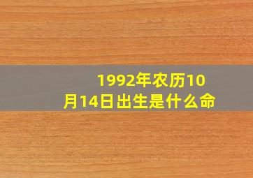 1992年农历10月14日出生是什么命