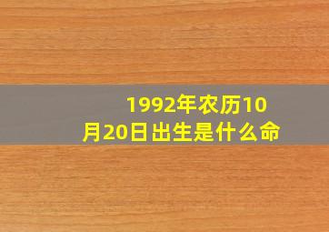 1992年农历10月20日出生是什么命