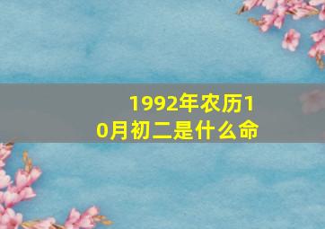 1992年农历10月初二是什么命