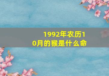 1992年农历10月的猴是什么命