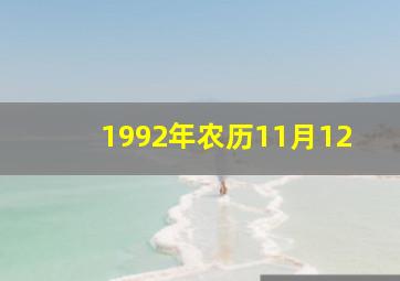 1992年农历11月12